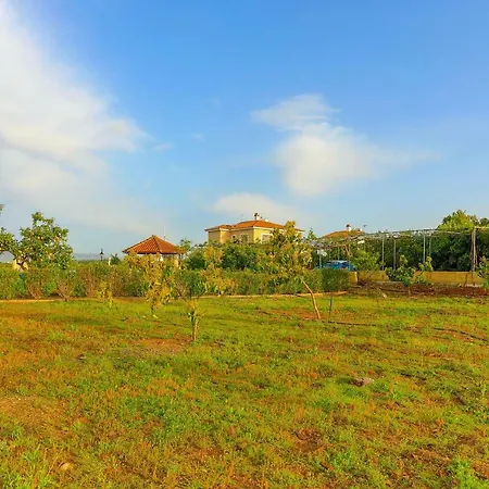 Villa Athina Finiki